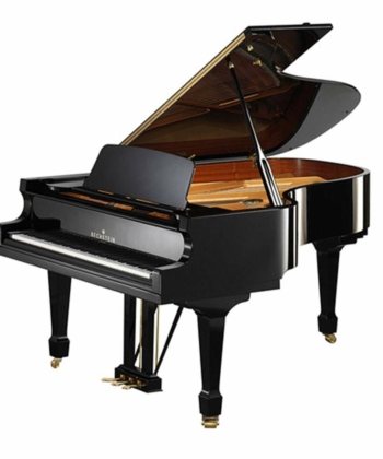 Bechstein-B-208