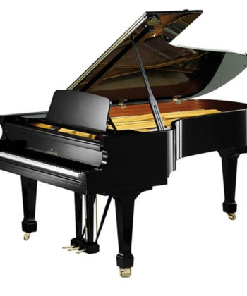 Bechstein-B-228