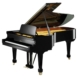 Bechstein-B-228