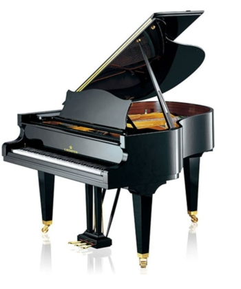 C-Bechstein-167