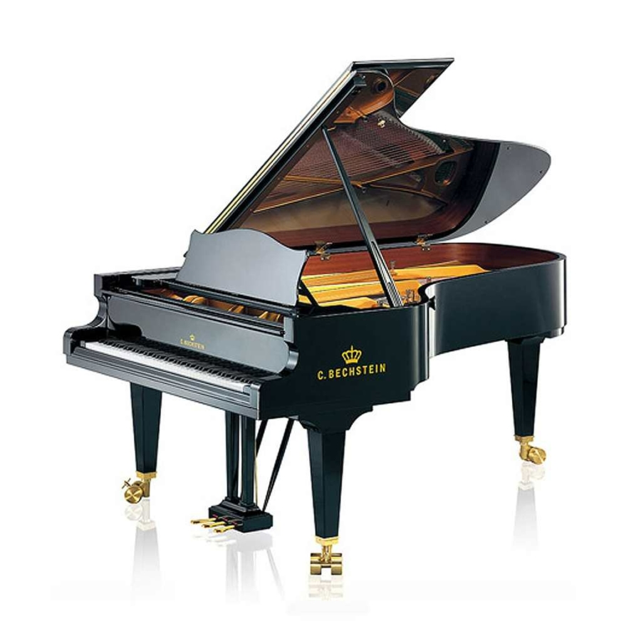 C-Bechstein-234