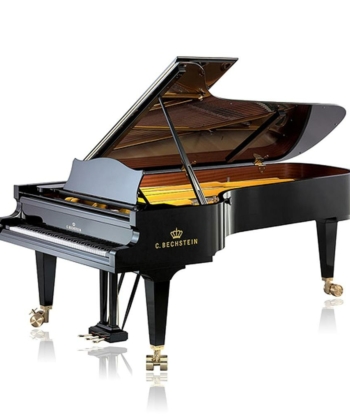 C-Bechstein-282