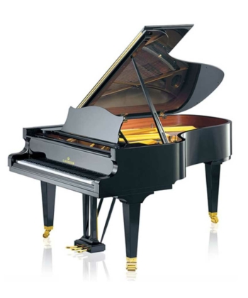 C. Bechstein B 212