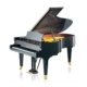 C. Bechstein B 212