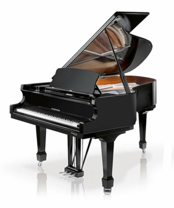 W. Hoffmann Professional - P162 Baby Grand